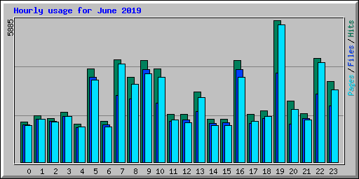 Hourly usage for June 2019